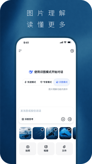 DeepSeek 截图 2