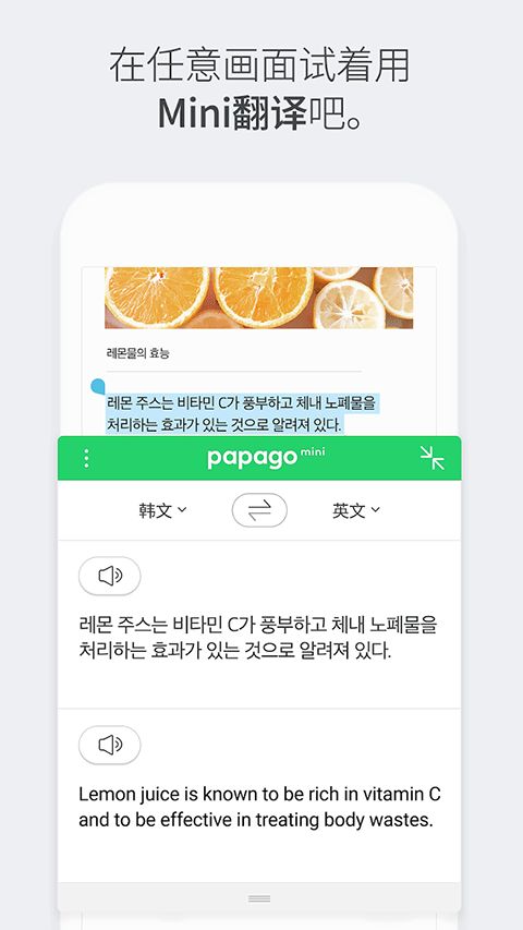 Papago翻译 截图 1