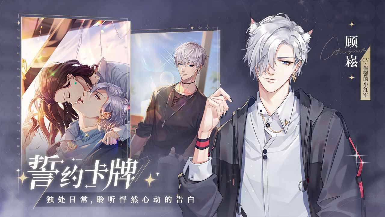 猫之宿约者 截图 4
