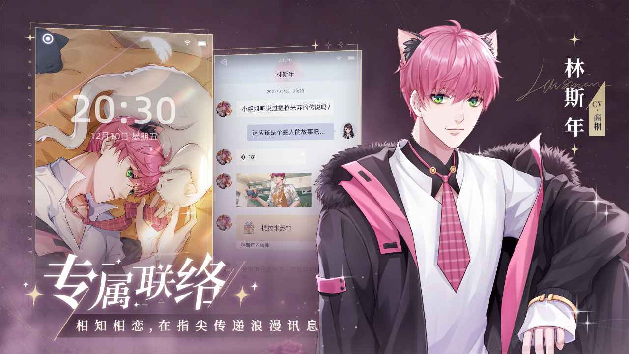 猫之宿约者 截图 6