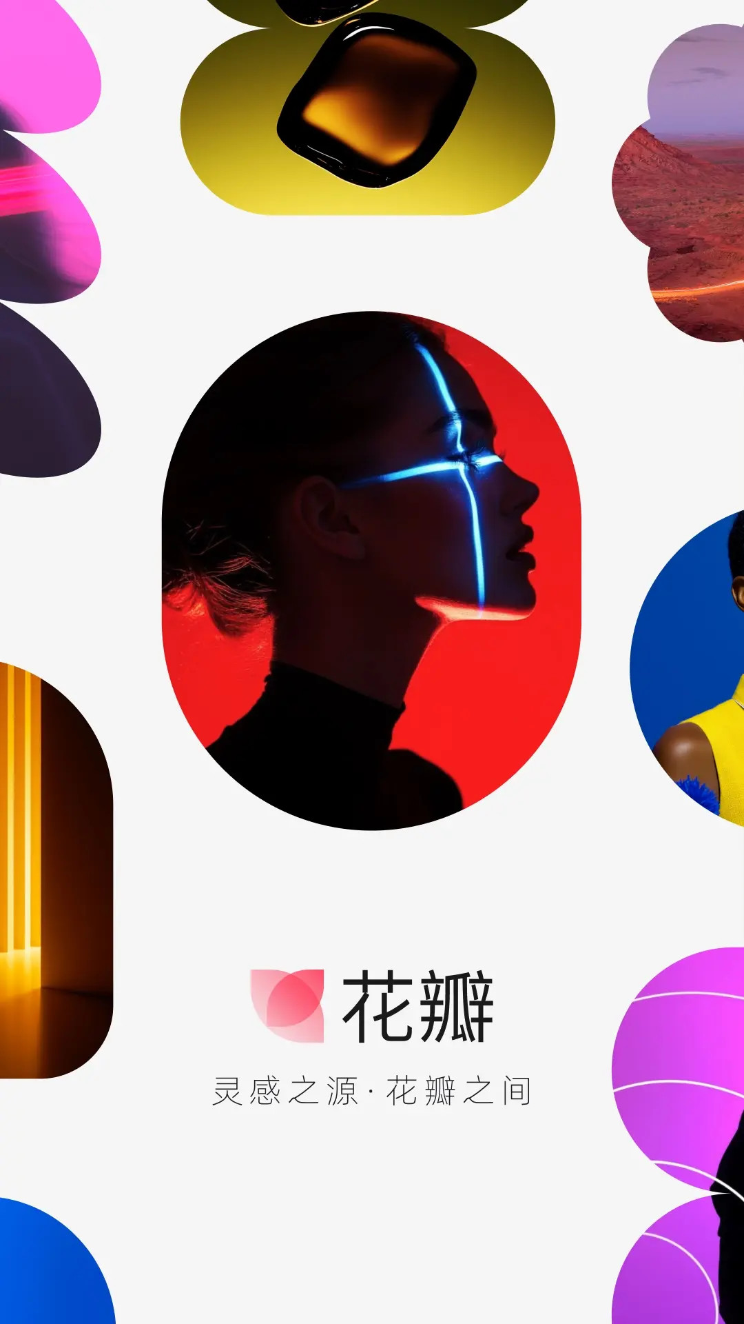 花瓣 截图 4