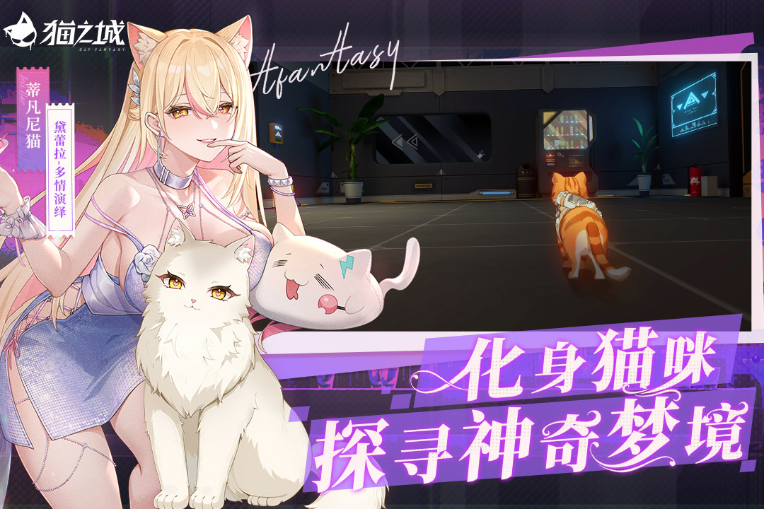 猫之城 截图 1
