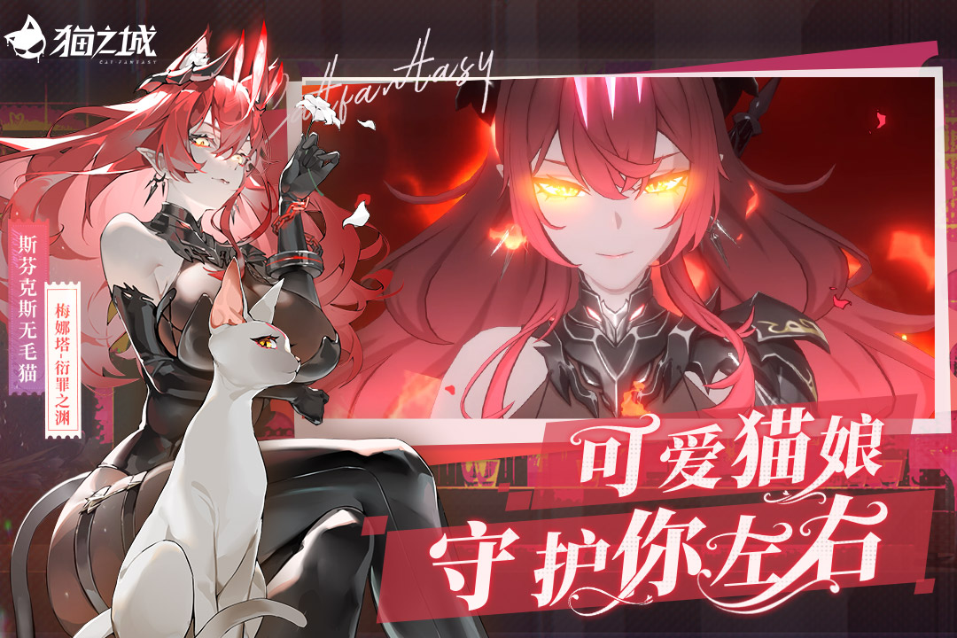 猫之城 截图 5