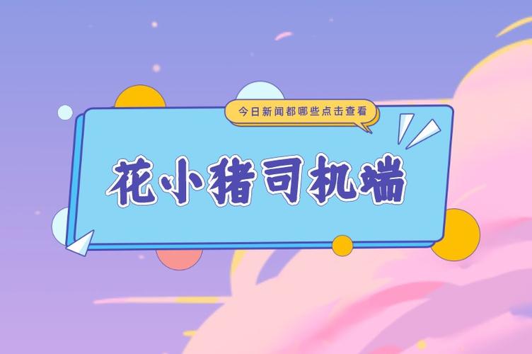 花小猪打车版本合集