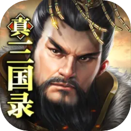 真三国录 图标