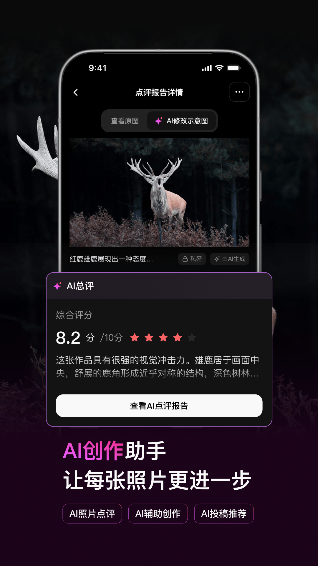 500px中国版 截图 4